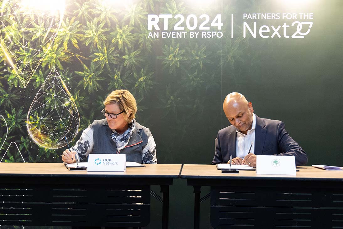 11 Nov - RSPOxHCV Network 4