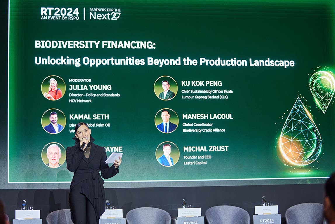13 Nov - Breakout 1 - Biodiversity Financing 1