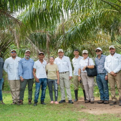 Field of Teams. RSPO with PromoAgrosur