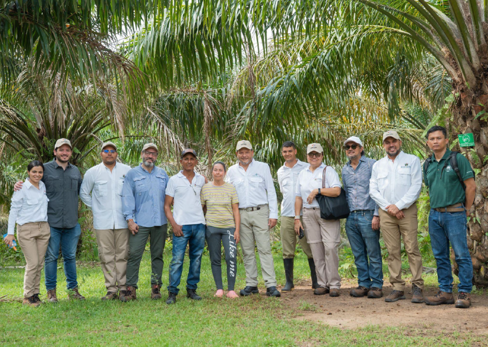Field of Teams. RSPO with PromoAgrosur